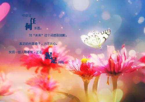 苏辛缘沈林晖完整版 苏辛缘沈林晖小说全文在线阅读