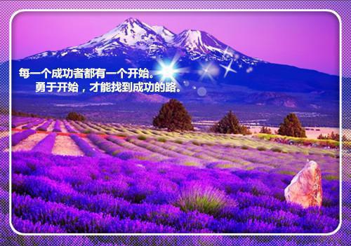 她带球征婚，各路大佬争当后爸最新章节全文阅读 陆夕柠季牧野未删节小说