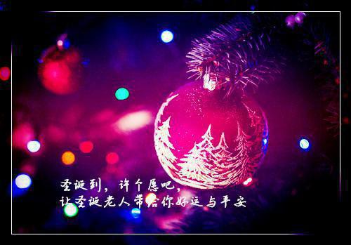 主角顾景昭岑咏薇小说免费阅读最新章节