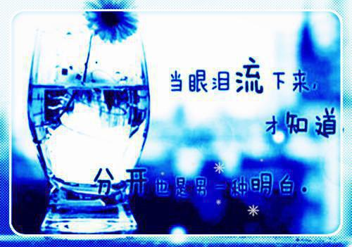 江砚安娜阮黎小说全免读 江砚安娜阮黎第一章在线阅读