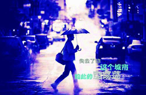 沈乔昕谢久辞免费阅读 沈乔昕谢久辞最新章节目录