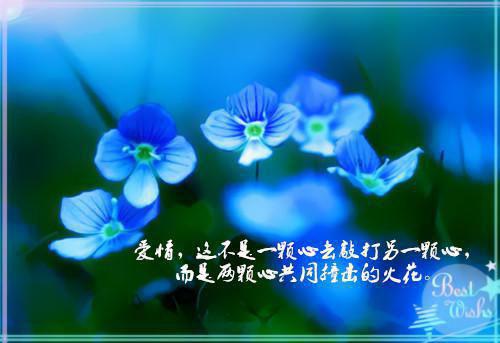 我妈喜欢给我揽活陈姨林前完整版全文阅读