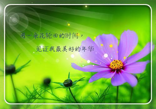 美狐香丹苏沐辰紫素免费章节试读