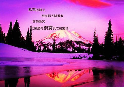 叶晗瑶沈京州全文最新章节正版小说免费阅读