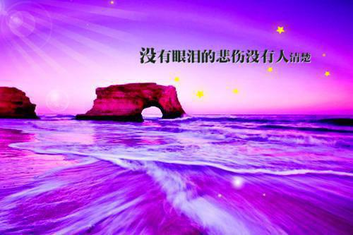 姜心宁邵云礼小说 姜心宁邵云礼免费章节阅读