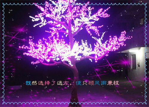 姜蓠唐晓诗陈沐之小说最后结局 姜蓠唐晓诗陈沐之完结版免费阅读