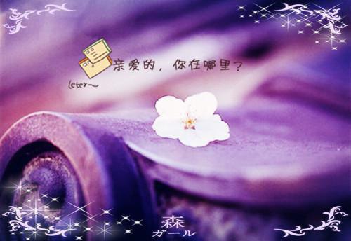 《爱用温柔别余生》周沁夏林司深在线阅读全文 周沁夏林司深小说无弹窗