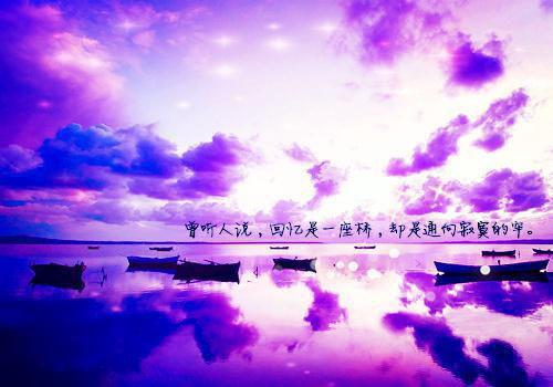 过期等待陈弋沈清鱼完整版小说免费阅读