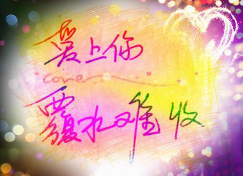 顾挽月苏景行免费小说 顾挽月苏景行完结版在线阅读