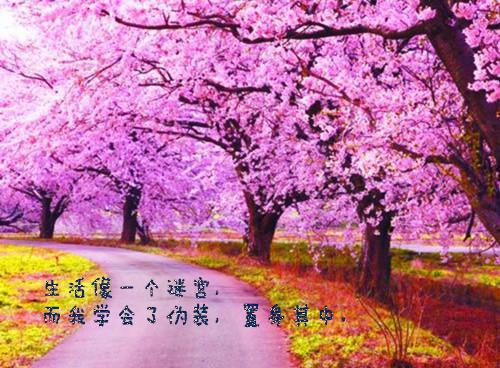 高菘秦晓唯（高菘秦晓唯）是什么小说-（秦晓唯高菘）无弹窗免费阅读大结局最新章节列表