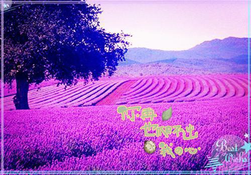 章贺欢欢小说在哪里看 章贺欢欢在线阅读第6章