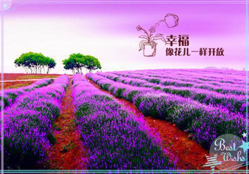 黎慕时林初南（林初南黎慕时）全文免费阅读_黎慕时林初南（林初南黎慕时在线小说免费阅读）