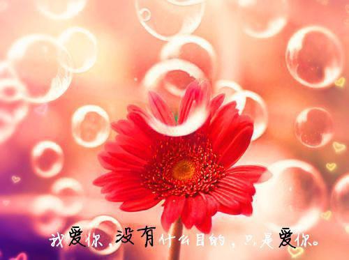 醋意app免费阅读 沛溪陆应凡小说在线看