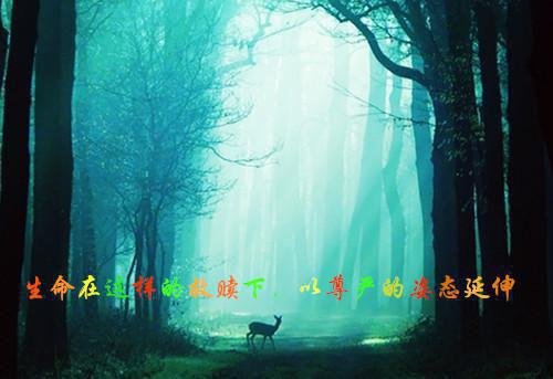 夏星妍江芃东小说叫什么 夏星妍江芃东小说全文免费阅读