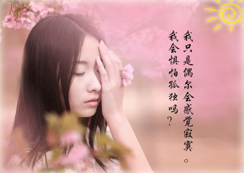 嫁春风无广告 昭阳沈煜陈若瑶在线免费阅读