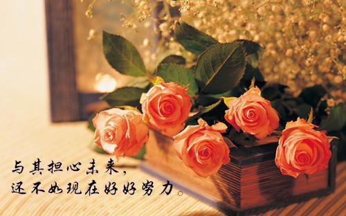 阮瑶江行野完整未删减版在线阅读 阮瑶江行野结局