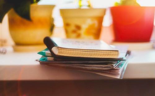 (抖音小说)顾斯城容烟阮绵小说全文阅读免费