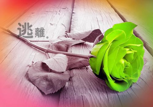 领证那天,女朋友丢下了我小说全文 乔误微楚星言沈泽完整版在线阅读