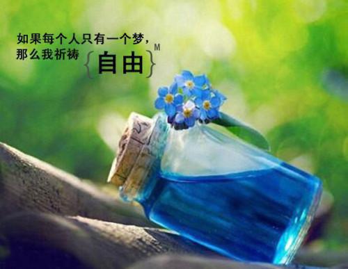 赵广杰欣怡全文阅读最新 赵广杰欣怡小说目录