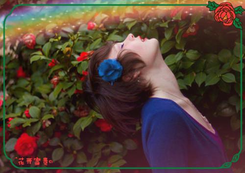 李光宗小说全文免费阅读 李光宗最新章节