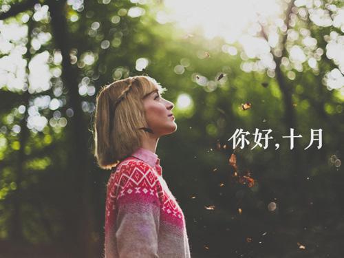 许予欢靳南辞小说 许予欢靳南辞完整版免费阅读