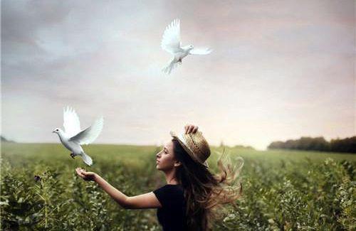 顾芜顾双双周然免费阅读无弹窗 顾芜顾双双周然最新章节