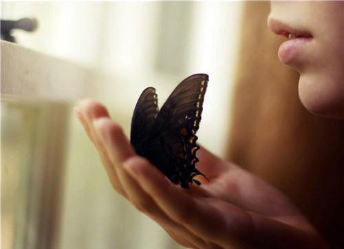 爱安仆人小说全文免费阅读(许星云许星冉)全文免费许星云许星冉读无弹窗大结局_(爱安仆人小说许星云许星冉)爱安仆人小说免费许星云许星冉读无弹窗最新章节列表(许星云许星冉)