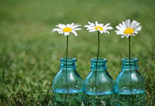 玄幻：开局解锁金色词条李玄天李玄浩无弹窗在线阅读