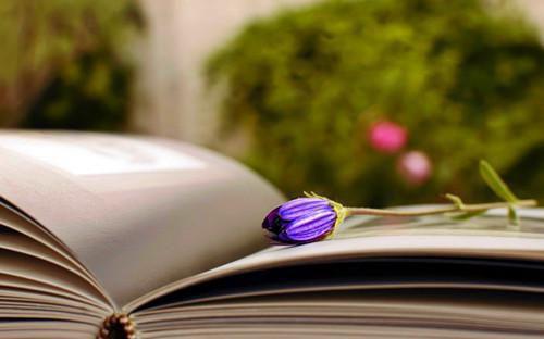 重活一世，她只想改变命运，彻底摆脱家里人(结局) 秦霜宁辰笙免费阅读全文