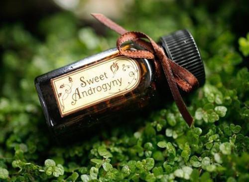 乔绾妤顾瑾行小说全文免费阅读 乔绾妤顾瑾行最新章节