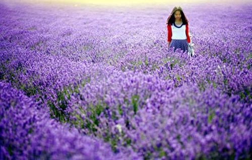 沈墨桃夭小说全文阅读 沈墨桃夭第3章