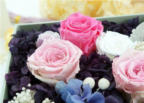 沈宛如沈棠小说最后结局 沈宛如沈棠完结版免费阅读