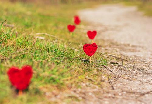 虞娓娓谢珩虞婠婠免费小说 虞娓娓谢珩虞婠婠在线阅读