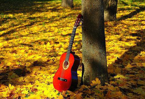 苏碧游长游小说在哪里看 苏碧游长游在线阅读第2章