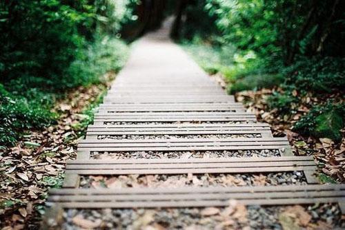 魏泽骞明桉小说全文大结局-魏泽骞明桉（明桉魏泽骞）小说全文免费阅读