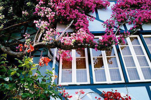 夏晚星傅霆夜哪里可以看 夏晚星傅霆夜免费阅读第一章