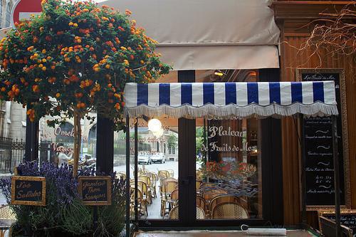 热门小说已完结林皓小说无弹窗大结局_林皓多彩男神全文阅读大结局