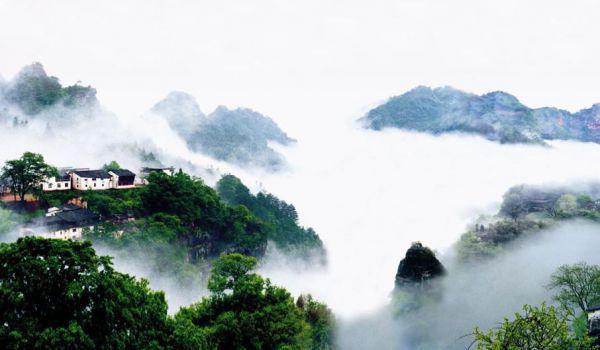 杨如意杨如月全文免费阅读最新 杨如意杨如月