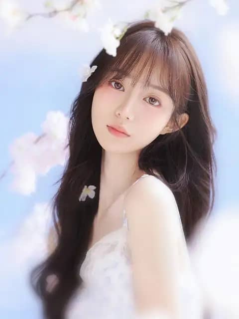 执手看月明完整版阅读_沈繁星薄景川全文在哪看