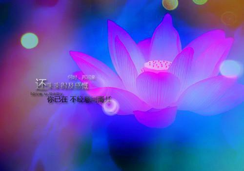 姜辞顾瑾琛小说最新章节 姜辞顾瑾琛免费阅读