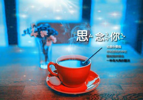 好看的小说《室友一心走歪路》张芸林湘苏琳琳全文免费阅读