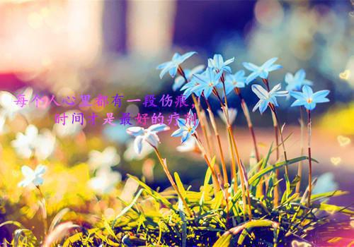 黎梨在线免费阅读 林越舟黎梨小说最新章节