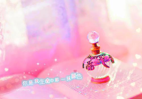 林梦游睿安免费阅读目录 林梦游睿安小说全文