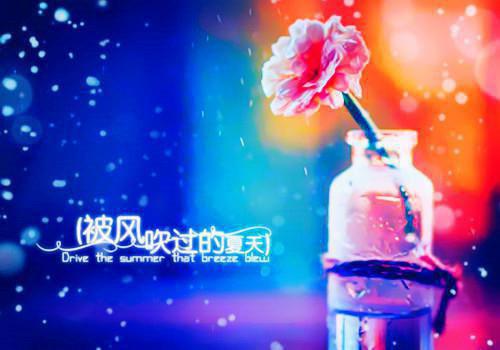 为了业绩，我在办公室当团宠，办公室的各位都是我裤下臣周然萧何司历爵无弹窗全文阅读