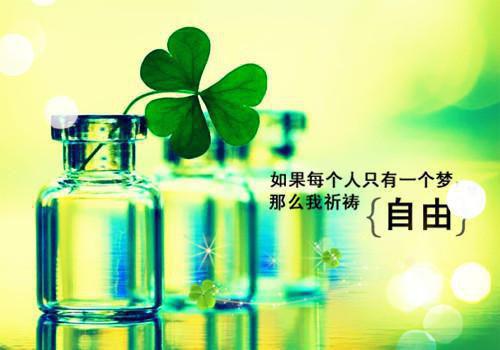 千意目录 司洋晏曦无弹窗阅读