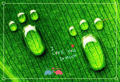 苏泽江依小说 苏泽江依完整版免费阅读