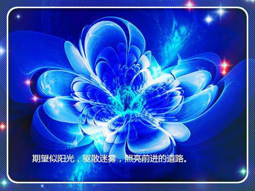 夏川林暖容免费全文 夏川林暖容小说在线阅读