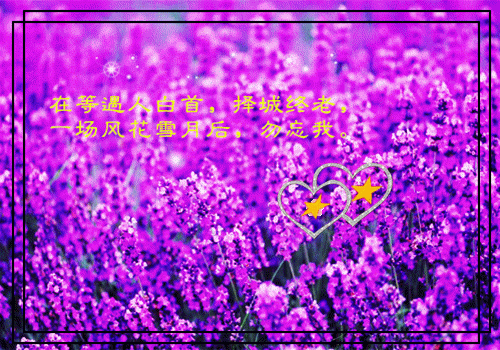 线女小说全集 程成丝丝最新章节阅读