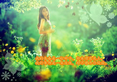 李若芜乐游小说最后结局 李若芜乐游完结版免费阅读