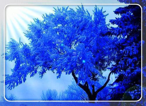 谢知夏萧徵大结局免费阅读 谢知夏萧徵全文小说